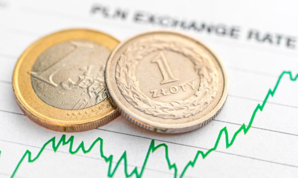 Zoty Zareagowa Na Dane O Inflacji Euro Najdrosze Od Dwch Tygodni 90db97e, NEWSFIN