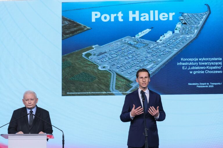 Port Haller. Koncepcja stworzenia nowego nabrzeża pozbawiona podstaw w studiach rentowności.