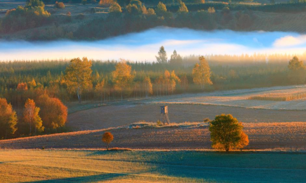 Nieruchomościowe braki w Polsce. W jakich regionach brak nowych ofert? Nieruchomościowe braki w Polsce. W jakich regionach brak nowych ofert?