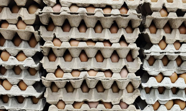 Inflacyjni liderzy 2025. Co zyskało na cenie, a co straciło?