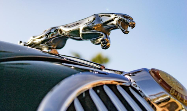 Jaguar na wstecznym wobec pełnej elektryfikacji. Rozważa technologię REEV