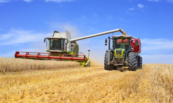 Koniec z dopłatami dla pseudorolników. Ustawa ukróci fikcję