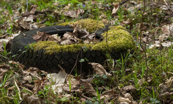 Opony w milionach sztuk poza kontrolą. Niejawny import i niedociągnięcia prawne zanieczyszczają tereny leśne.