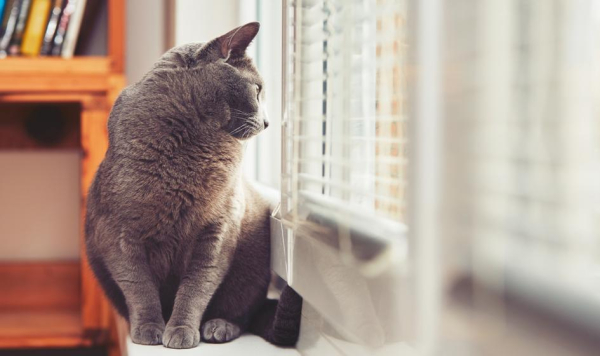 Ożywienie w mieszkaniówce. Pula gotowych lokali wzrosła aż o 46 %