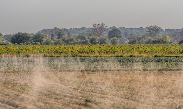 Państowa ziemia rolna pod kluczem. Sejm zamrozi rynek na kolejną dekadę