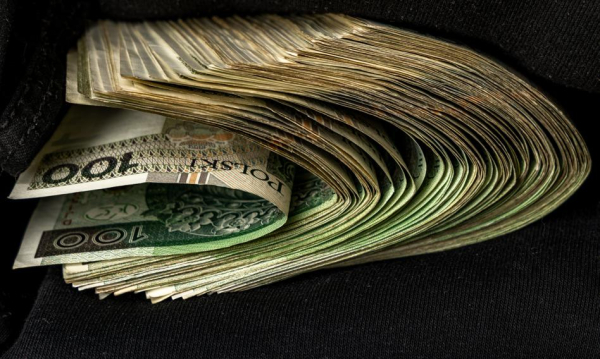 Kursy walut w 2026: sceptyk wierzy w złotówkę