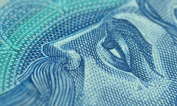 Złoty odetchnął. Euro znowu po 4,21 zł.