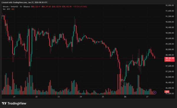 Santiment powiązał spadek kapitalizacji stablecoinów z rajdem cen złota 4