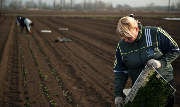 &amp;quot;Tragedia dla wielu rodzin&amp;quot;. Umowa z Mercosur dotknie pracowników wielu branż