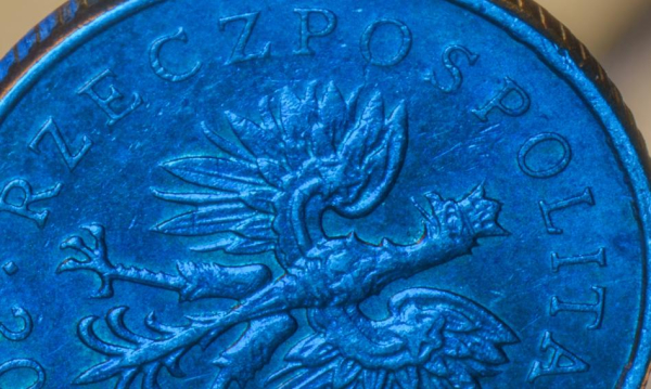 Granica wieku emerytalnego 67 lat i redukcje w programie 800+. Eksperci finansowi prezentują „Ratunkowy Plan dla Budżetu”