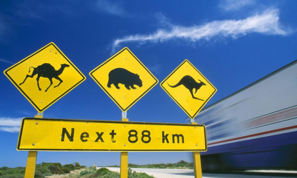 Koniec australijskiego eksperymentu z pieniądzem. Następni w kolejce?