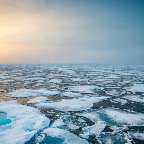Arktyka w centrum uwagi. Rosja planuje przejąć kontrolę nad transportem…