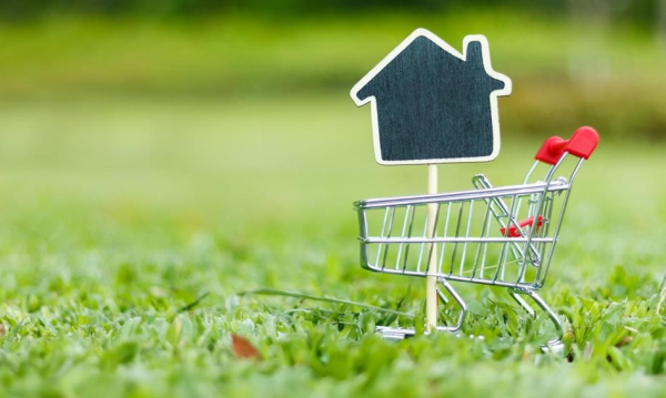 Lokacja reklamy gruntu na sprzedaż?