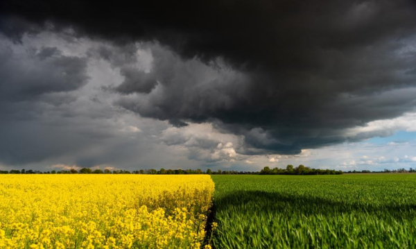 Karol Nawrocki wstrzymał modyfikacje w agrarnym sektorze. „Regulacje faworyzują duże firmy”