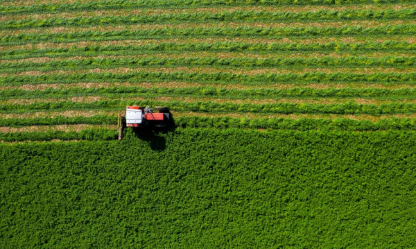 Skończyć z umowami ustnymi? Rolnicze izby alarmują o zastoju na&hellip;