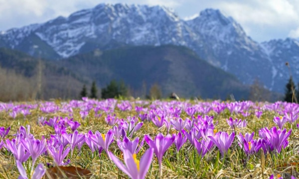 Trzynaście tuneli i jedenaście estakad. Pociągiem z Krakowa do Nowego&hellip;