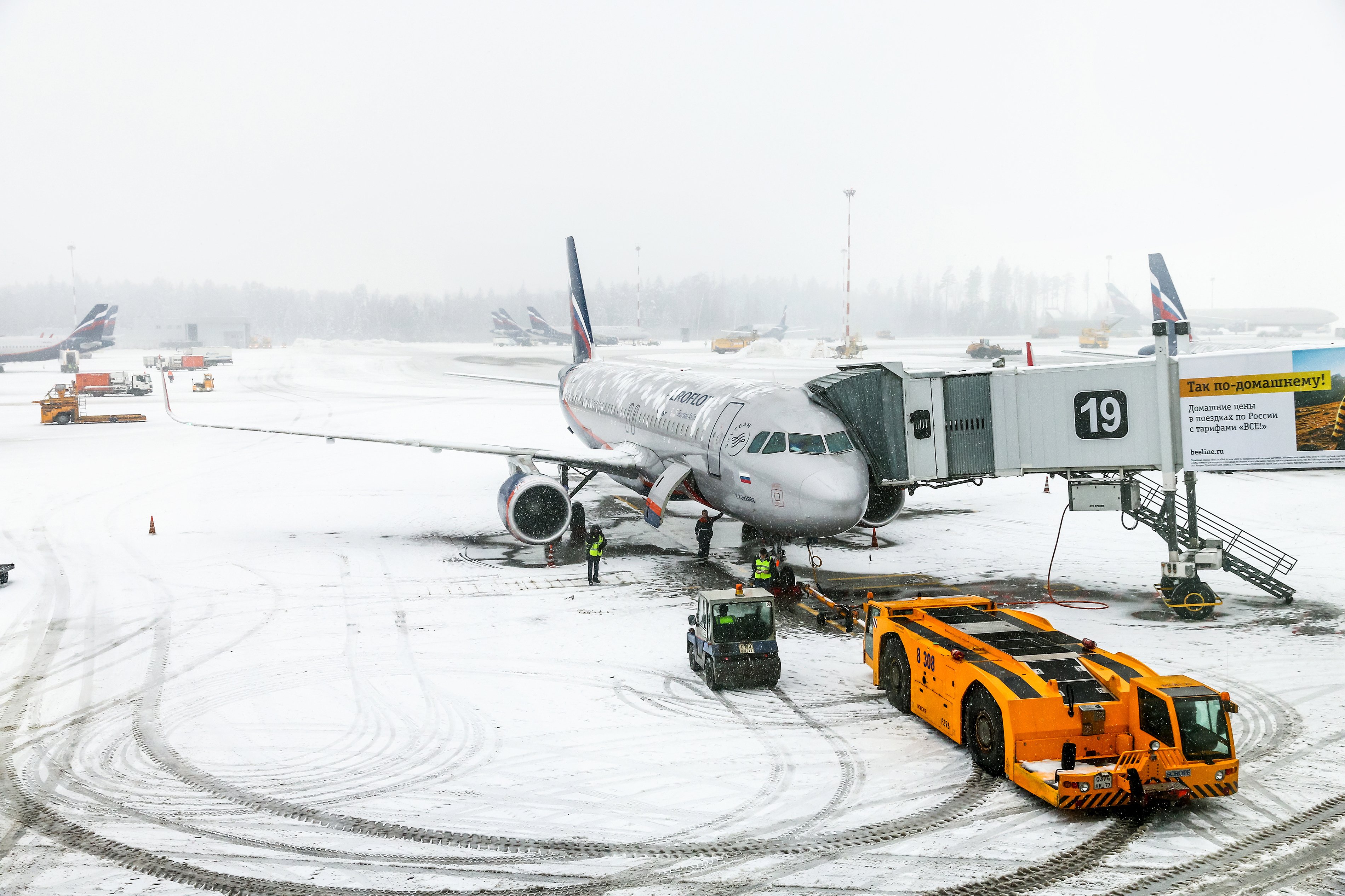 Nowy ryzykowny sport: podniebne wojaże rosyjskimi liniami. 2
