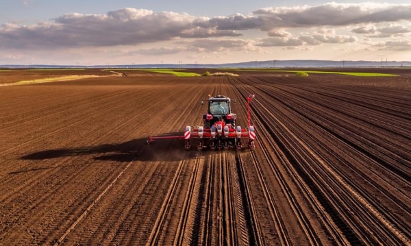 Skokowy wzrost cen pól uprawnych. Jaka jest wartość hektara?