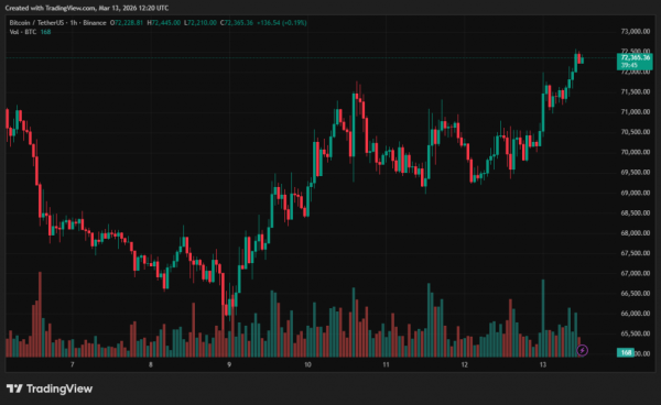 Dane łańcuchowe nie potwierdziły gotowości Bitcoina do wzrostu 4 Dane łańcuchowe nie potwierdziły gotowości Bitcoina do wzrostu 4