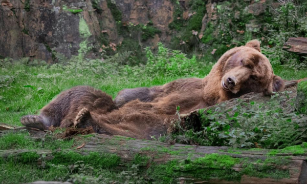 Branża budowlana wciąż w stagnacji. Rekordowo niski poziom nowych lokali mieszkalnych od&hellip;