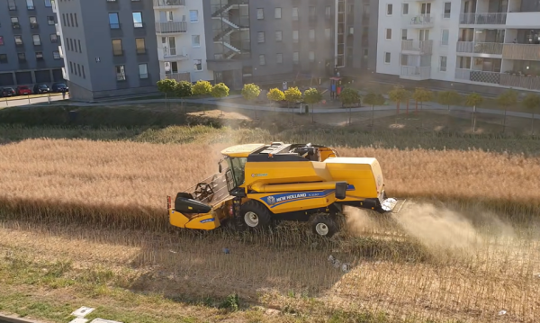 Żegnajcie legendarne pola pośród osiedli. Farmer zbył grunt budowlańcowi.