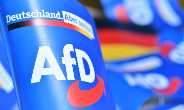 NEWS FIN 31 Koniec z Ukraińcami i żołnierzami z USA w Niemczech. AfD…