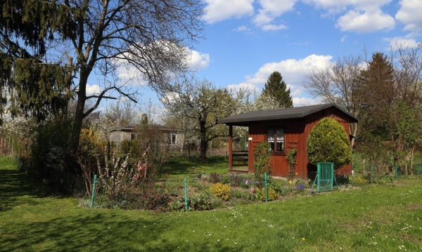 Ceny ogródków działkowych nadal szaleją, ale działkowcem można zostać taniej