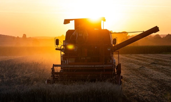 Lawina wniosków o dopłaty dla rolników. Tempo najwyższe od kilku lat