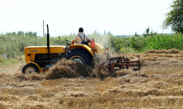 NEWS FIN 35 Rolnicy walczą o rentowność. Pogarszająca się sytuacja gospodarstw.