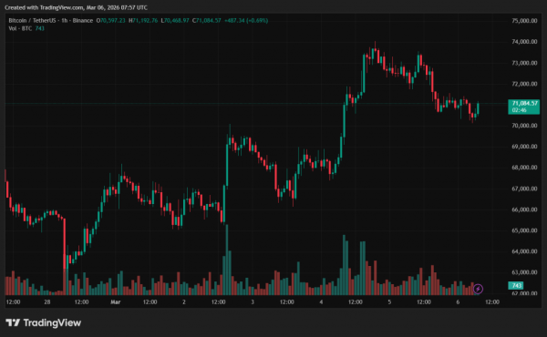 Skok martwego kota: CryptoQuant uważa, że wzrost Bitcoina jest tymczasowy 4 Skok martwego kota: CryptoQuant uważa, że wzrost Bitcoina jest tymczasowy 4