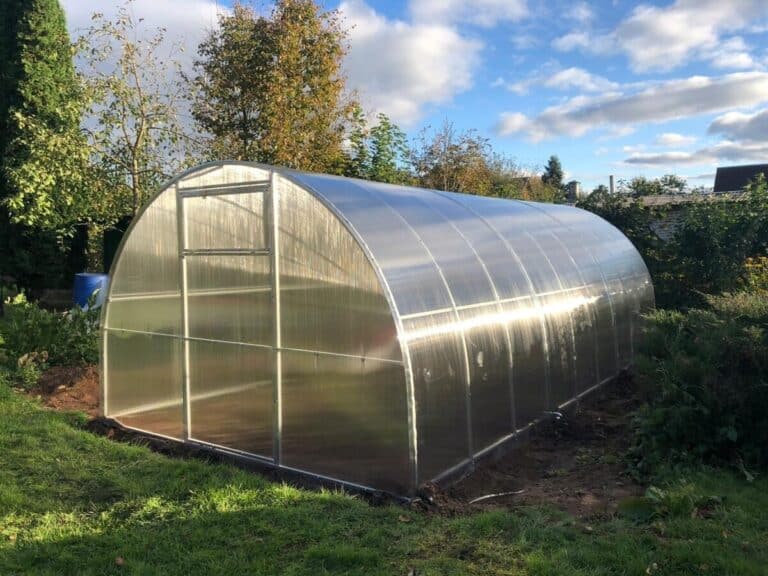 Szklarnia łukowa czy poliwęglanowa? Zalety i różnice, które musisz znać