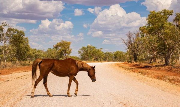 NEWS FIN 42 Europa znowu oszukana przez Wall Street. Najpierw straty, potem odbicie.