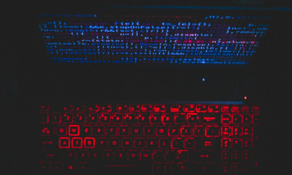 Gigantyczna akcja przeciwko hakerom. „Wyłączyliśmy 120 polskich adresów internetowych”