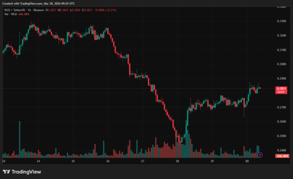 WLD osiąga najniższy poziom w historii po sprzedaży tokenów OTC o wartości 65 milionów dolarów 5