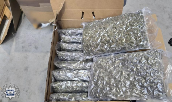 Przemytniczy pech. Milionowa marihuana omyłkowo w fabryce.