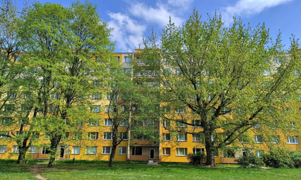 Zarząd Wspólnoty vs Spółdzielnia: Koszty utrzymania i naprawy.