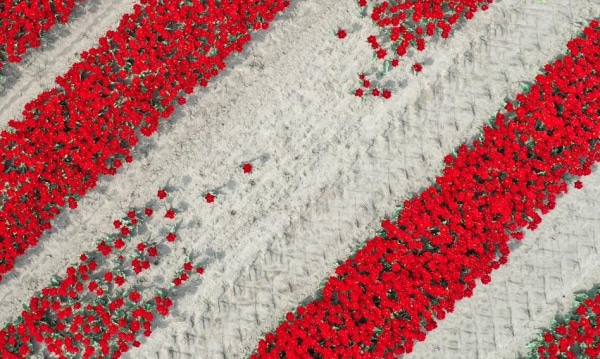 Koniec z samym wzrostem. Nadchodzi era ekonomii zwrotu kosztów.