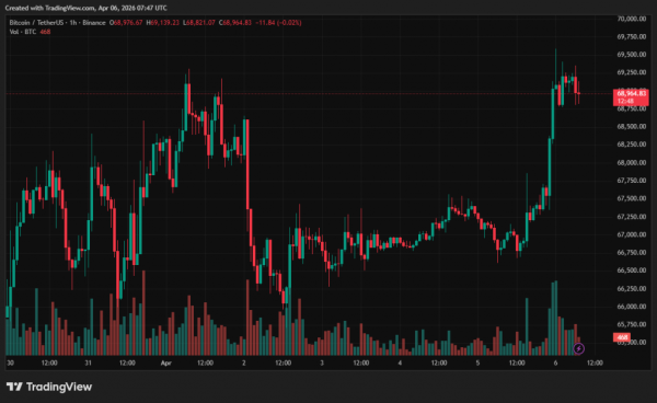 Analityk Bloomberga: Bitcoin może spaść do 10 000 dolarów, jeśli nie utrzyma poziomu 75 000 dolarów 5