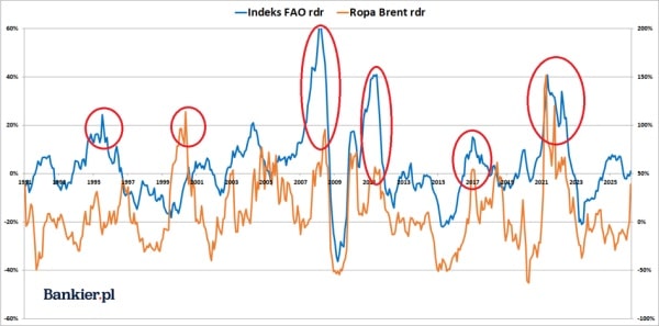 Widmo kryzysu żywnościowego po problemach z paliwami. Czy czeka nas drożyzna w sklepach? 11
