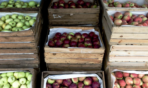 Koniec słynnego bankructwa. Zakład w Milejowie nabyty za 60 milionów.