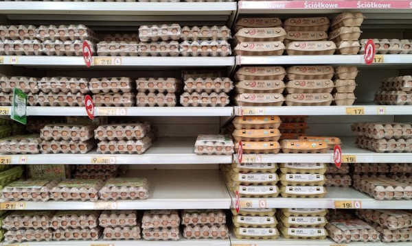 NEWS FIN 33 Schyłek hodowli klatkowej. Sklepy i UE mówią „stop”, a jaja…