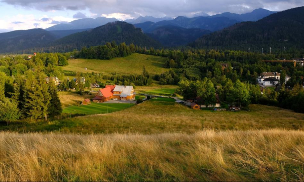 Domy w Zakopanem jak „wodopoje”? Zarzut za nielegalną budowę.