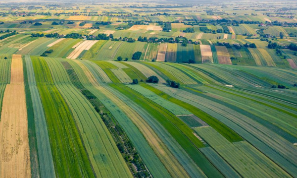 Zaczęto wypłacać pierwsze przedpłaty za tereny pod port lotniczy.