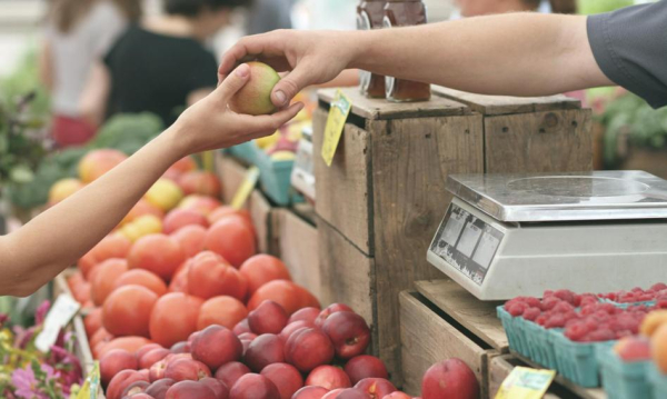Jaki jest koszt utrzymania dla osoby samotnej w Polsce? Koszt podstawowych artykułów lekko wzrósł 2 Ile kosztuje życie singla w Polsce? Cena koszyka podstawowych artykułów lekko w górę