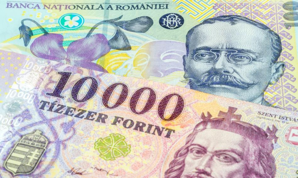 Wpływ polityki na waluty. Dwa różne losy forinta i leja.