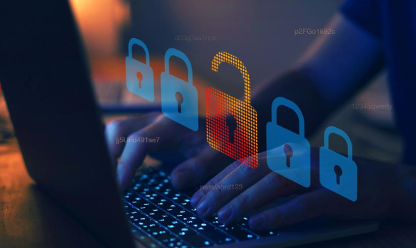Wielkie porządki w polskim Internecie. 55 tysięcy domen na „czerwonej liście” urzędu skarbowego