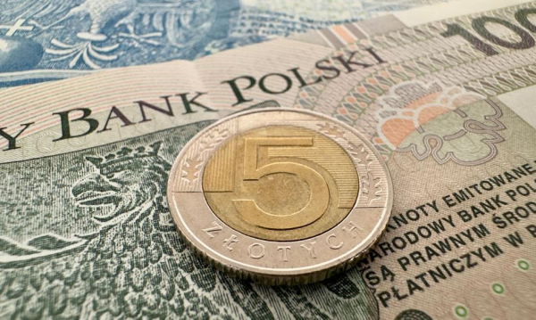 Złoty stabilny mimo sytuacji w Hormuzie. Teraz decyzja Rady Polityki Pieniężnej