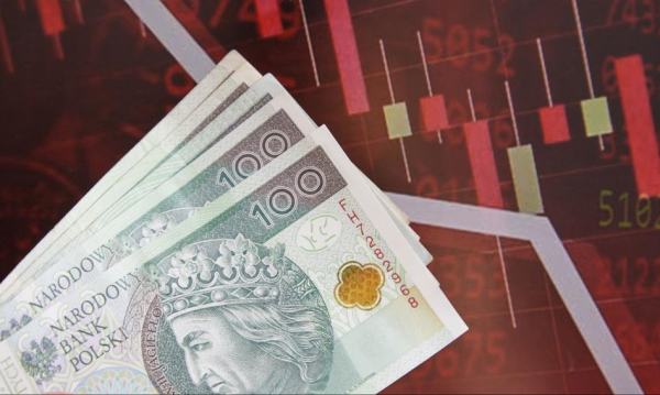 Talex zaoferuje 1,2 złotego zysku z akcji