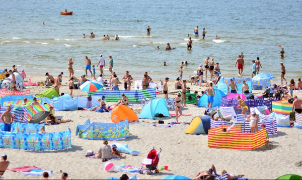 Wakacje pod gruszą 2024. Kto otrzyma dodatkowe środki na urlop 2 Dodatkowe pieniądze na wakacje? Sprawdź, czy masz prawo do wczasów pod gruszą