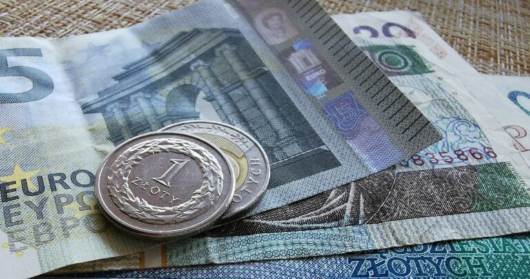 Kursy walut. Czy złoty jeszcze zyska wobec dolara i euro? Kursy walut. Czy złoty jeszcze zyska wobec dolara i euro?